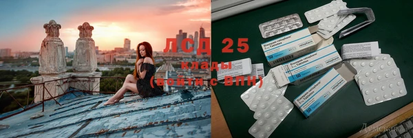 хмурый Бердск