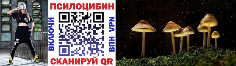Псилоцибиновые грибы ЛСД  цена наркотик  ссылка на мегу вход  Гвардейск 
